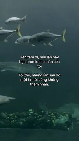 #viral #xuhuong #nttnhie_ 