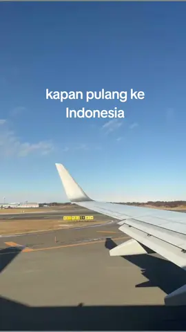 siapa tau ada yg sama balek nya, 🤭   #fyp  #tkimalaysia🇲🇾🇮🇩  #balekkampung #🇲🇨🇲🇨🇲🇨🇲🇨  #jemberjawatimur  #jawamadura  #hanyawanitabiasa  #🥰🥰🥰🥰🥰🥰 
