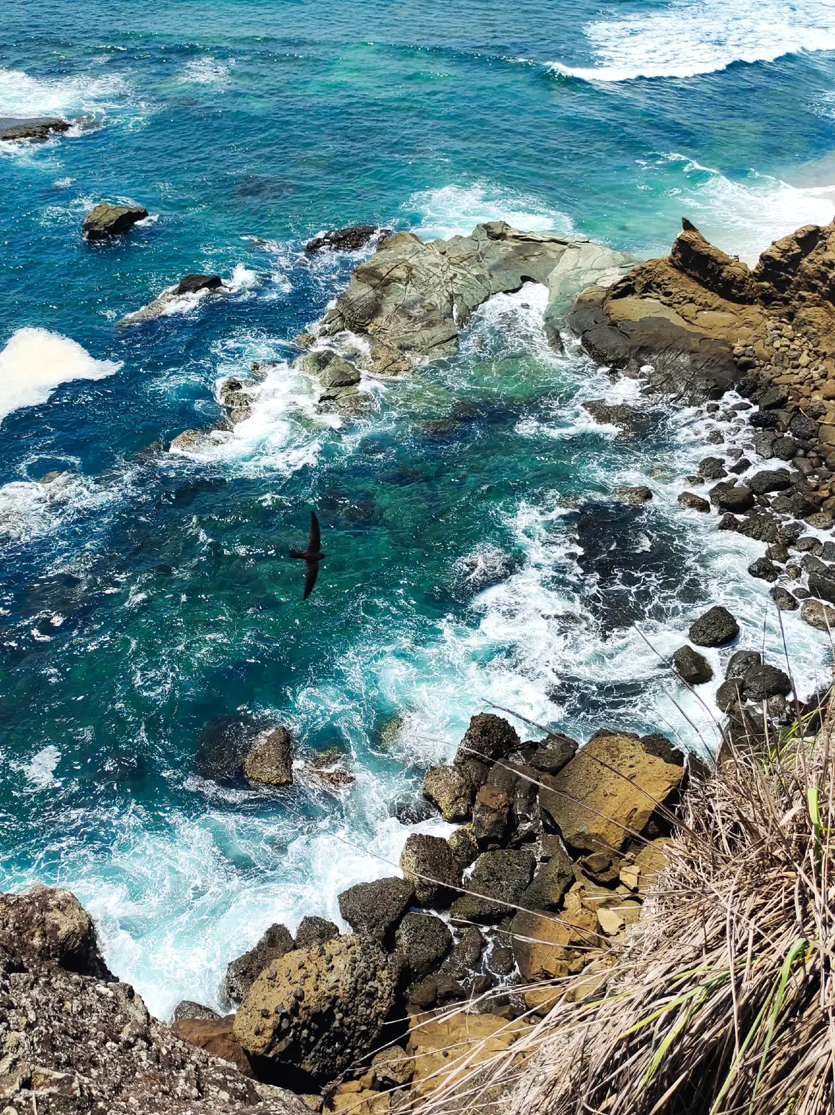 #papumabeachjember #papuma #jember #eksplorejember #rekomendasiwisata #naturevibes #PlacesToVisit #placetogo #pesonajember #fypシ #fypage #pantai #beachvibes #aesthetic #pantaiaestetic #fyp 
