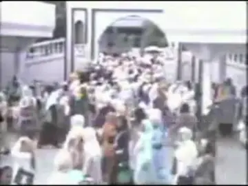 Maulid Perempuan #maulid #maulidsekumpul #abahgurusekumpul #maulidabahgurusekumpul #fyp #fypp #foryou 