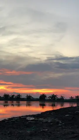 Tambak vibes🌅#fyp #senja #tambak #vibes 