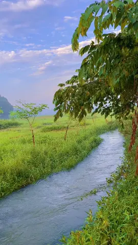 Cuci mata #pranktemen #prank #mentahan #videomentahan #Outdoors #wisatabogor #air #sungai #alam #adele 