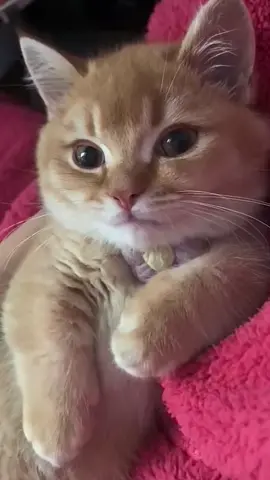 😇