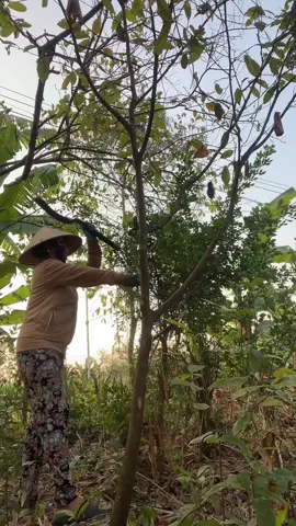 #xuhuong #cuộc sống hằng ngày#xu hướng#nguyênhieu#xây kênh tiktok#học làm video