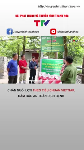 Chăn nuôi lợn theo tiêu chuẩn Vietgap, đảm bảo an toàn dịch bệnh #truyenhinhthanhhoa #thanhhoa #vietgap #dich #nongnghiep