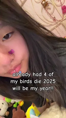 2025🤩🤩