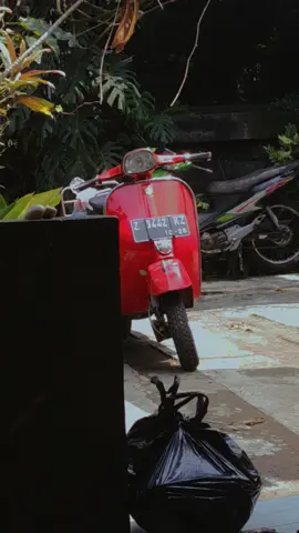 Teman Seperjuangan #vespa #storivespa #vespaindonesia #vespahujan #vespafyp 