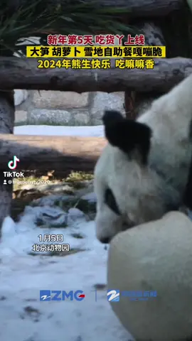 这么快“小土豆”都有周边了？哈尔滨中央大街出现小土豆挂件，再来一个帽子围巾就更完美了 #中国蓝国际culture 