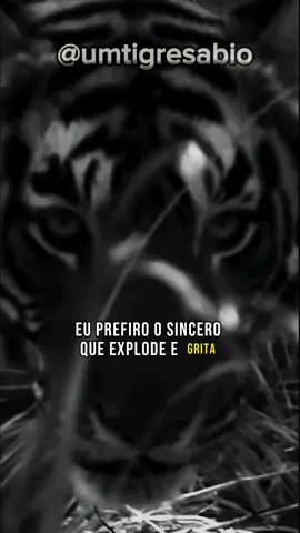 Eu prefiro o sincero que explode e grita do que o sonso que paga de inocente mas destila o veneno em silêncio. #reflexao #motivacao #sinceridade #honestidade #motivacional #honestidade #carater 