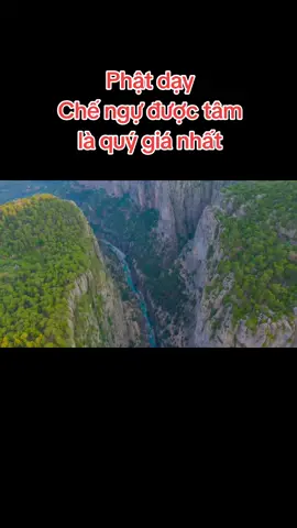 Phật dạy 🙏🙏🙏 #CapCut #phatphap #tinhthuc #giacngo #xuhuongtiktok #tapbuongbo #xuhuong2024 #videoviral #phatphapnhiemmau🙏🙏🙏 #xuhuong #buddha #nhânquả #phatphapvadoisong 