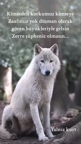 #kimseden korkumuz kimseye zaafımız yok düşman olarak gören büyükleriyle gelsin zerre şüpheniz olmasın