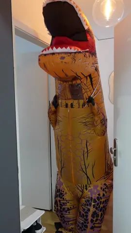 Begrüßt ihr euren Postboten auch immer in so wunderschönen Outfits? 😁