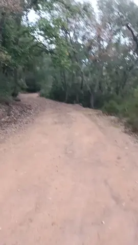 #tiktok #مشاهدات_تيك_توك #ترندات #argentina #trending #راحة_نفسية #الغابات #الغرة_بلدية_بوقوس🇩🇿 #بلدية_بوقوس #جبال_الغرة_ولاية_الطارفdz🇩🇿🇩🇿 