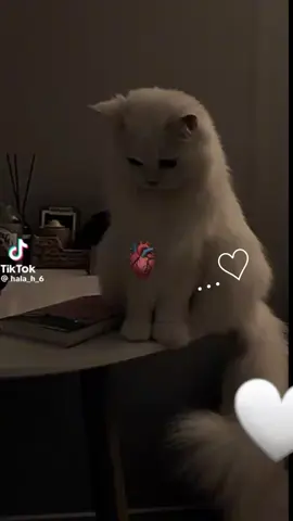 سـيـآتيـگ آللهہ‏‏ بمـآ تحب گمـآ تحب..... ♡#ستوريات #حالات_واتس اكسبلور #يارب #حالات هادئه#انشودة_من_أجمل_الأناشيد #انشودة من قلبي #.. 