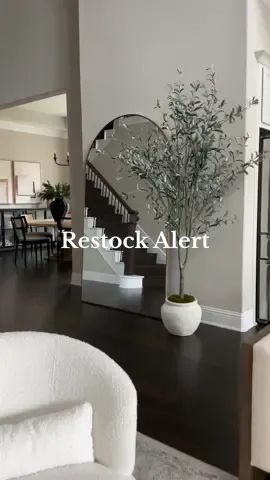 Restock Alert!!!! My favorite faux okive tree! It’s the whole package… amazing quality, it already comes with a pretty planter and the moss. No need to buy anything more. Link in bye-oh