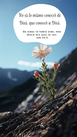 conocer a Dios ❤️✨#generacion12 #amordedios #Diosesbueno #yeshua #jovenescristianos 