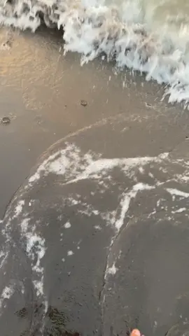 kemarin katanya sayang ,hari ini hilang#ramadhan2024🕌 #fyp #fyppppppppppppppppppppppp #fypage #fypdongggggggg 