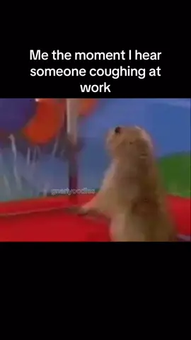 Me the moment I hear someone coughing at work #work #worklife #workflow #workhumor #workhumor #workhumortosurvive #workcomedy #corporatehumor #officehumor #workmemes #workplacehumor 