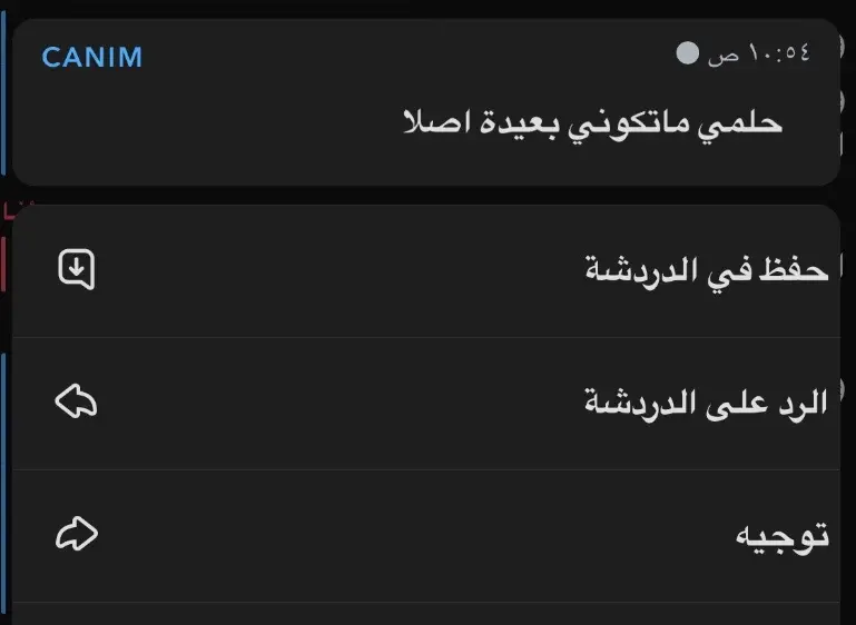 نساير الايام للعوده الى الوطن✨.#fyp #explore #capcut 