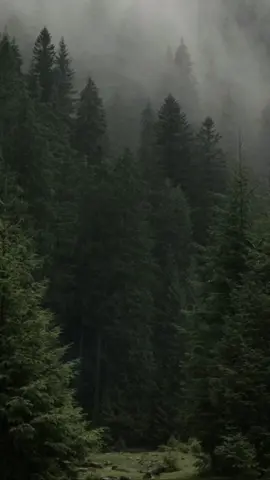 KAMNH VERSI MALAY #kamnh #eminftjony #kamnhversimalaysia #liriklagu #lirikvideo #laguviral #lagugalau #overlay #overlaylyrics #4u #tiktokindonesia #fypindonesia #tiktokmalaysia #fypmalaysia #bismillahfyp #semogafyp #tiktok #sikici🥀 #viral #lyrics #foryou #xyzbca #lyricsvideo #fyppppppppppppppppppppppp #fypシ゚viral #fypage #fypシ #fypシ゚ #fyp