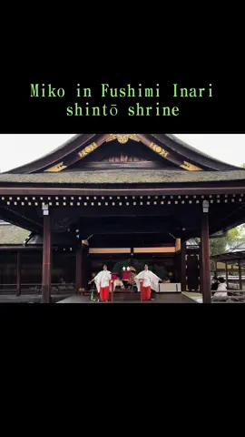 Miko in Kyōto #japan #shinto #yourname #shintoism #shrine #newyear #kyoto #giappone #kimono 