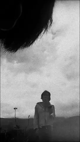 nhạc thời 4x5x#xuhuong