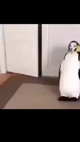 #fypシ゚viral🖤tiktok #memestiktok #ramdomvideos #memestiktok #viralvideo 