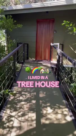 it’s giving adult magic treehouse 🤭 #costarica #airbnb #busliving #vacation #getaway #uniqueairbnb #airbnbfinds 