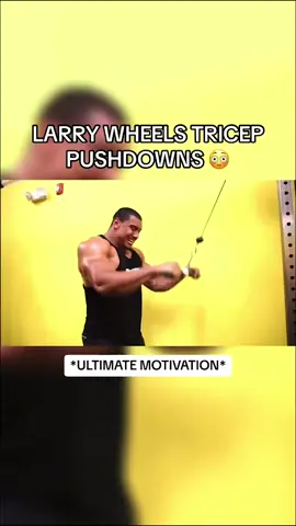 Tricep pushdowns #bodybuilding #bodybuilder #strengthtraining #strengthtraining  #gymtok  #gym