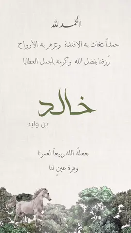 بشارة مولود باسم خالد #بشارة_مولود #دعوات_الكترونيه #خالد 