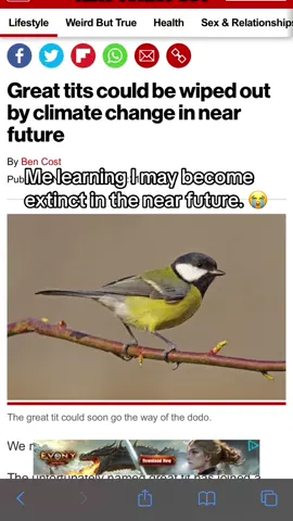 Prayers for me and the girls 😭😭😭#greenscreen #climatechange #extinction #animals #birds #girlies #pain #silly #college 