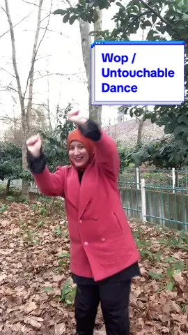 Wop / Untouchable Dance Challenge 🤭🤭🤭  #wop #dancechallenge #dance #wopuntouchable #wopuntouchablechallange #wopchallenge #wopwop #wopuntouchable🎶 #wopuntouchabledancetrend💃 #untouchabletrend #akım #akim #viral #tiktok #fyp #fypシ #dans 