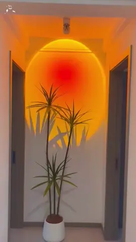 Đèn LED Ống Bơ Energy Green Lighting Rọi Ánh Sáng Hoàng Hôn DOB-039 - Decor Trang Trí Chụp Ảnh ,Quay Video ,Livestream. #giadungthongminh #dogiadung #giadungtienich #giadungtrungquoc #thegioigiadung #trending #vairal #xuhuong #review 