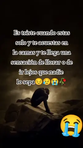 #fracesdelamor💗💞🌹 