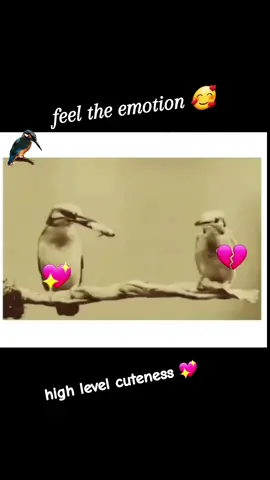 #fyp#viral #foryou #tiktok 