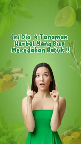Nih mimin kasih tau tanaman apa saja yang bisa jadi alternatif meredakan batuk kalian!! ✨🌿🍃#batuk #batukpilek #tipsandtricks #batukflu #obatherbal #obatbatukalami 
