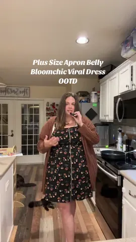 How else could I style this dress? I have seen this dress on so many plus size creators, so if youre curious, this is what it looks like on my plus size apron belly body. #bloomchicfashion #bloomchicdress #apronbellybaddies #apronbellystyle #apronbelly #bbelly #bbellybaddies #plussizetryon2024 #plussizeootd2024 