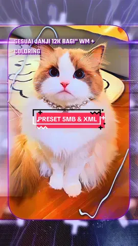#elkaapreset : sesuai janji 12k😋 | https://alight.link/DQV87BNqiEAf6Tc88 [ am murce dibio ] #presetalightmotion #presetdibawah5mb #alightmotion_edit #squadclio #fypシ #fyp #trending #viral 