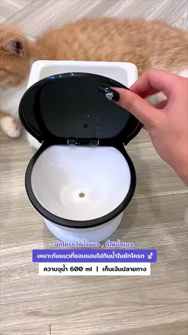 🚽 #ที่ให้น้ําแมว รูปทรงชักโครก 🚽 เหมาะกับแมวที่ชอบแอบไปกินน้ำในชักโครก แล้วทาสก็อุ้มน้องมาหอม 🚽 ขนาด : กว้าง 14 cm x ยาว 21 cm x สูง 26 cm 🚽 ความจุ : ขวดน้ำ 600 ml , ชักโครก 300 ml #แมวกินน้ําน้อย #เครื่องให้น้ําแมว #น้ําพุแมว 💕