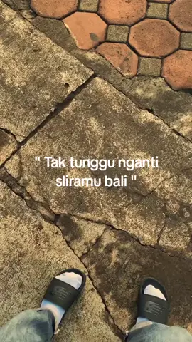 hehe aku sik ning kene lho :) #fyp 