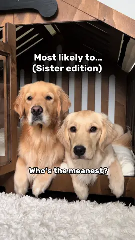 Little Maple feels called out 🥲