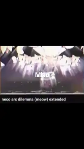 #necoarc #zenitsusongs #foryoupage #dilemma #nellyville #hiphop #cathop 