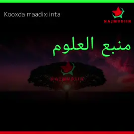 NABI AMAAN || صلّى اللّه ربّي صلّى اللّه حسبي || kooxda maadixiinta  #NabiAmaan #NAJMUDIIN #Najmudiin #nabiamaan  #fyp#s #somali 