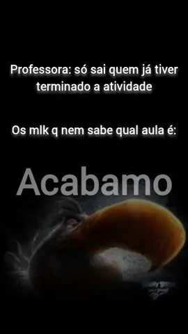 #fyp #fy #viral #real #angrybirdsrealista #angrybirdsmeme #angrybirds #meme #memes #memestiktok #memesbr 