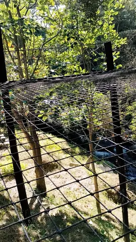 Paz🧘🏼‍♀️🌿