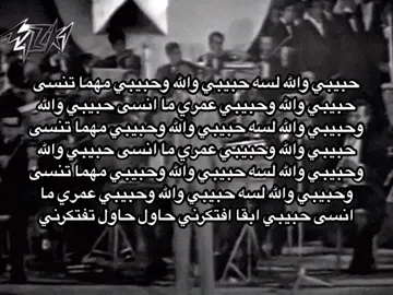حبيبي والله لسه حبيبي اتحدى اي حد يعرف عبدالحليم قال كام مره حبيبي😂❤️ #عبدالحليم_حافظ #العندليب #abdelhalim_911 #جيل_الطيبين #قديم #كلاسيك #زمن_الفن_الجميل #viral #explore #fyp #foryou 