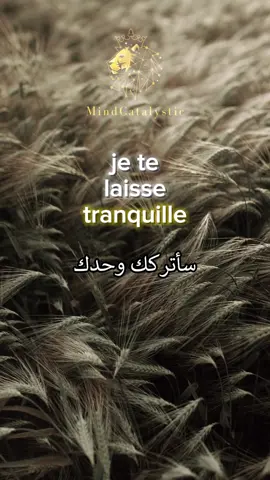 C'est terminé désormais je te laisse tranquille. #citation #verite #motivation #citationdujour #pourtoi #emotion #force #conseil #viral #explore #reels #fypシ #parati #mindcatalystic #citationtiktok #motivational #reels #devinnelapersonne #reels 