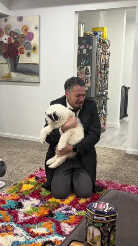 Without further ado i give you…a gay gets a puppy. #uglycry #uglycryface #puppy #puppytok #puppylove #dogsoftiktok #gay #gaytiktok #christmas #flightattendant #crichton #michaelcrichton #foryou #fyp 