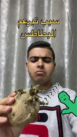 الحفاظ على البطاطس: كيف تتجنب تبرعمها مع بصل وتخزنها بشكل صحيح😉❤️❤️  #fyp #plants #potato #البطاطس #التخزين #الغاز #الايثيلين #الشكل #التبرعم #البصل #البطاطس_المخزونة #المكان #الظلام 
