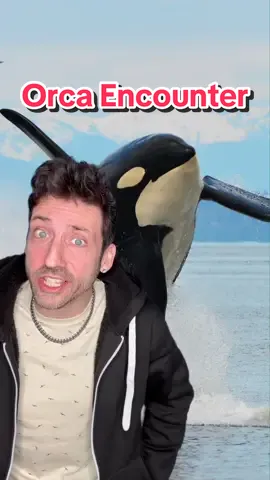 Final boss of the ocean 👌 #orca 